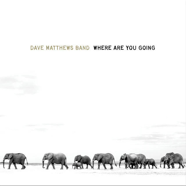 Dave Matthews Band - Where Are You Going: The Singles - VINYL