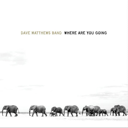 Dave Matthews Band - Where Are You Going: The Singles - VINYL