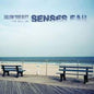 Senses Fail - Follow Your Bliss: The Best Of Senses Fail - VINYL