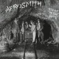 Aerosmith - Night in the Ruts - VINYL