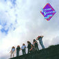 Lynyrd Skynyrd - Nuthin' Fancy - Analogue Productions 33rpm LP