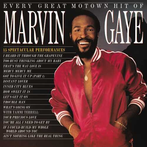 Marvin Gaye - Every Great Motown Hit Of Marvin Gaye: 15 Spectacular Performances - VINYL