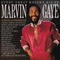 Marvin Gaye - Every Great Motown Hit Of Marvin Gaye: 15 Spectacular Performances - VINYL