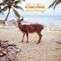 Fruit Bats - Gold Past Life - VINYL