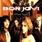 Bon Jovi - These Days - VINYL