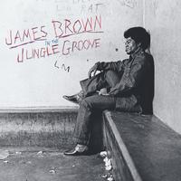James Brown - In the Jungle Groove - VINYL