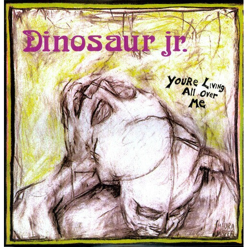 Dinosaur Jr. - You're Living All Over Me - VINYL