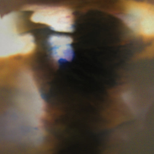 Animal Collective - Fall Be Kind - 12" EP
