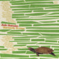 Jade Hairpins - Harmony Avenue - VINYL