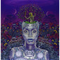 Erykah Badu - New Amerykah Part Two: Return of the Ankh - VINYL