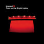 Interpol - Turn On The Bright Lights - VINYL
