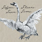 Sufjan Stevens - Seven Swans - VINYL
