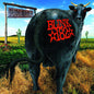 Blink-182 - Dude Ranch - VINYL