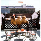 Wilco - Wilco - VINYL