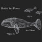 British Sea Power - Sea of Brass - VINYL