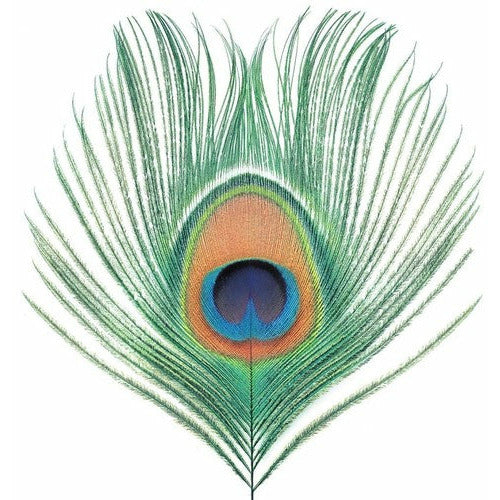 XTC - Apple Venus Vol. 1 - VINYL