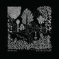Dead Can Dance - Garden Of The Arcane Delight + Peel Sessions - VINYL