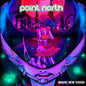 Point North - Brand New Vision - VINYL