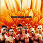 Rammstein - Herzeleid - VINYL