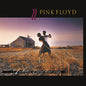 Pink Floyd - A Collection Of Great Dance Songs - VINYL