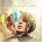 Beck - Morning Phase - VINYL