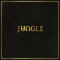 Jungle - Jungle - VINYL