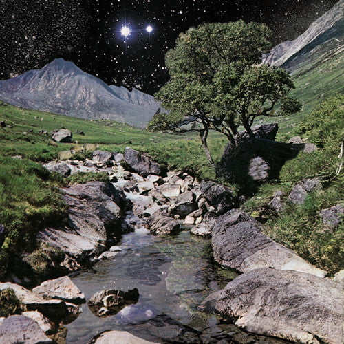 The Beta Band - The Beta Band - VINYL