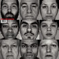 Bad Religion - Gray Race - VINYL