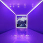 Fall Out Boy - MANIA - VINYL