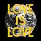 The Woods - Love Is Love - VINYL