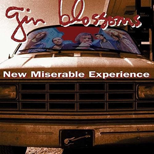 Gin Blossoms - New Miserable Experience - VINYL