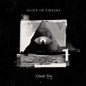 Alice in Chains - Rainier Fog - VINYL