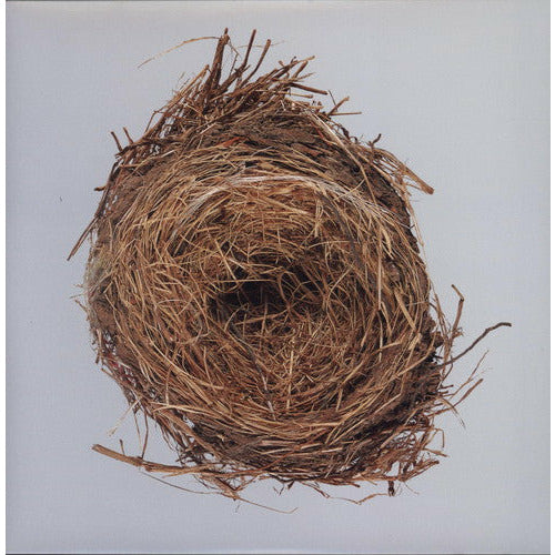 Wilco - A Ghost Is Born - VINYL