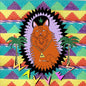 Wavves - King of the Beach - VINYL