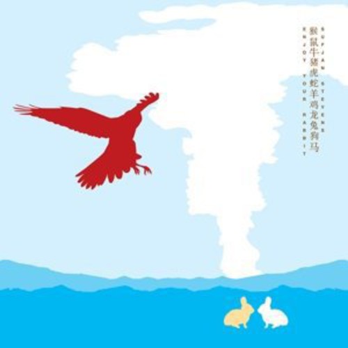 Sufjan Stevens - Enjoy Your Rabbit - VINYL