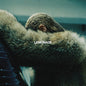 Beyonce - Lemonade - VINYL