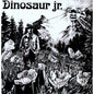 Dinosaur Jr. - Dinosaur Jr. - VINYL