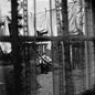 Paul McCartney - Chaos and Creation in the Backyard - Indie LP