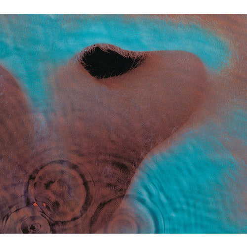 Pink Floyd - Meddle - VINYL