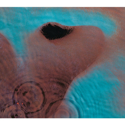 Pink Floyd - Meddle - VINYL