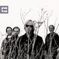 Tom Petty & The Heartbreakers - Echo - VINYL