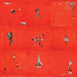 Animal Collective - Animal Collective - VINYL