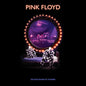 Pink Floyd - Delicate Sound Of Thunder - VINYL
