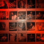 Chris Cornell - No One Sings Like You Anymore - VINYL