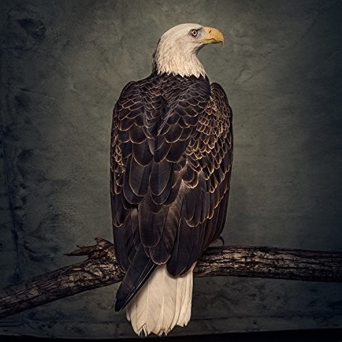 Clutch - Book Of Bad Decisions - VINYL