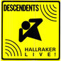 Descendents - Hallraker - VINYL