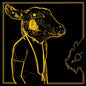 Shakey Graves - Roll The Bones X - VINYL