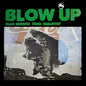 Isao Suzuki Trio - Blow Up - Impex LP