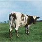 Pink Floyd - Atom Heart Mother - VINYL