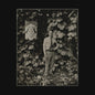 Tyler Childers - Long Violent History - VINYL